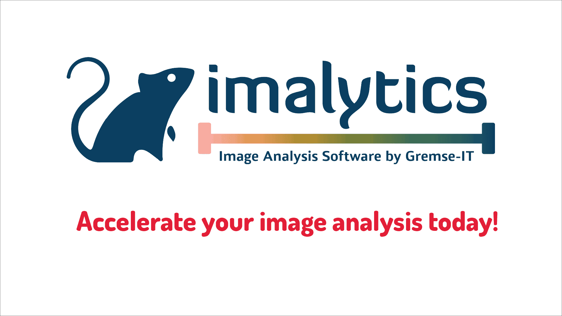 Mouse Bed Removal in One Click with Imalytics