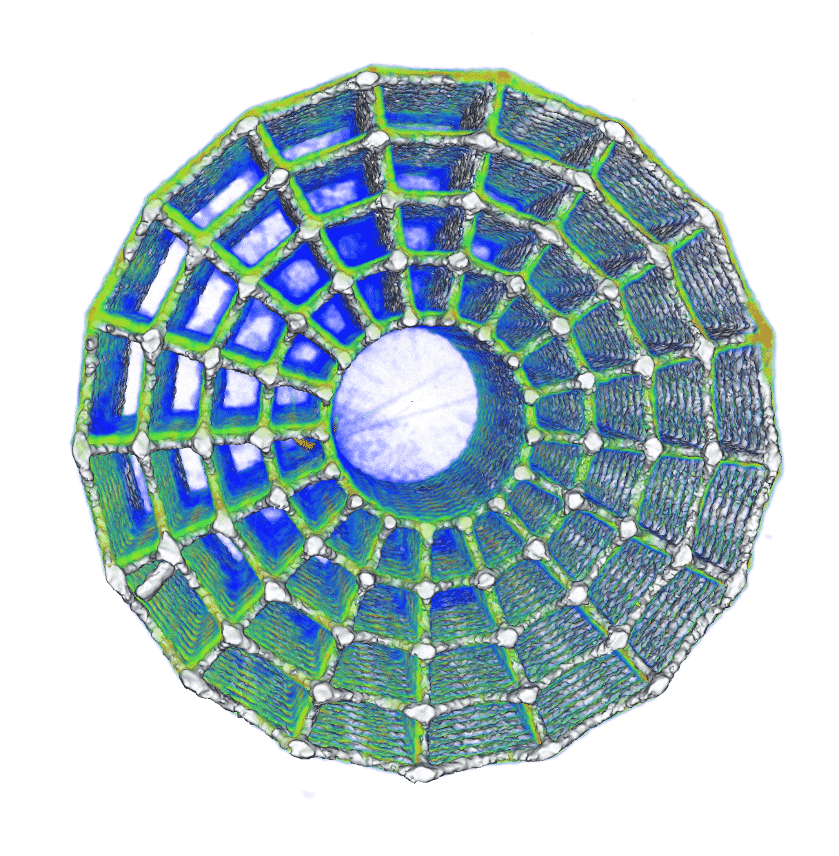 Figure-Scaffold.png