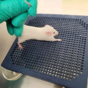 In Vivo Gripper