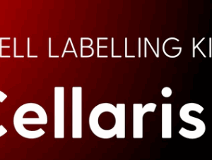 Cell Labelling