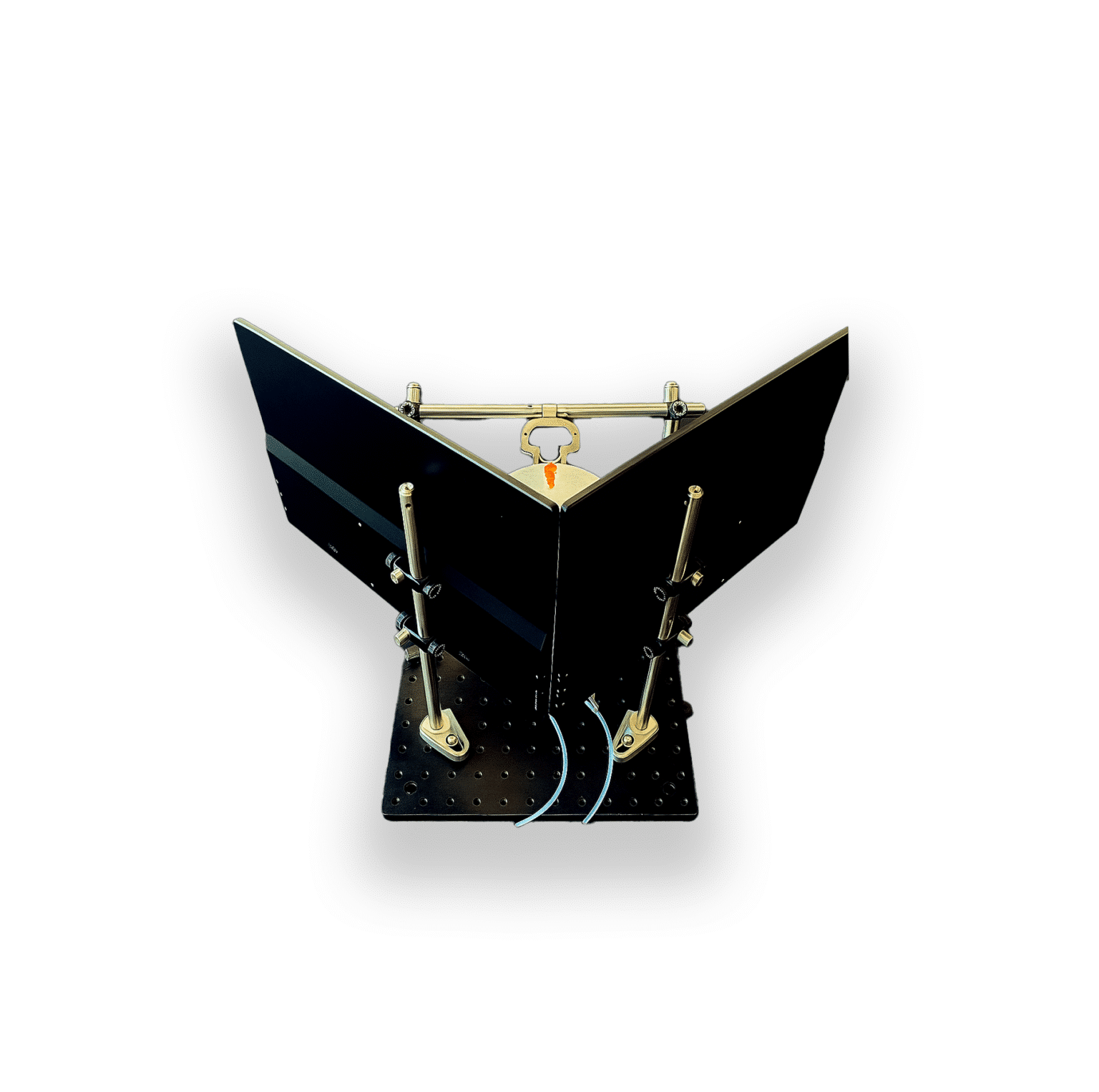 Virtual Reality Dual Display for Mice - Image 3