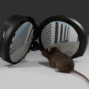 Virtual Reality Headset for Mice